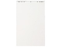 Blok 48 papiervellen wit Exacompta 65 x 100 cm
